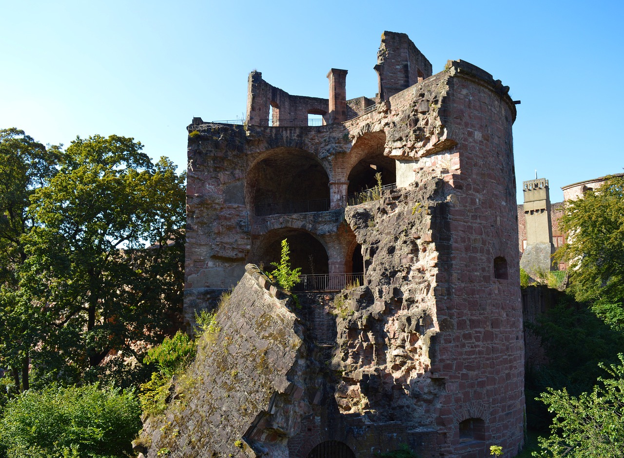 heidelberg castle heidelberger schloss free photo