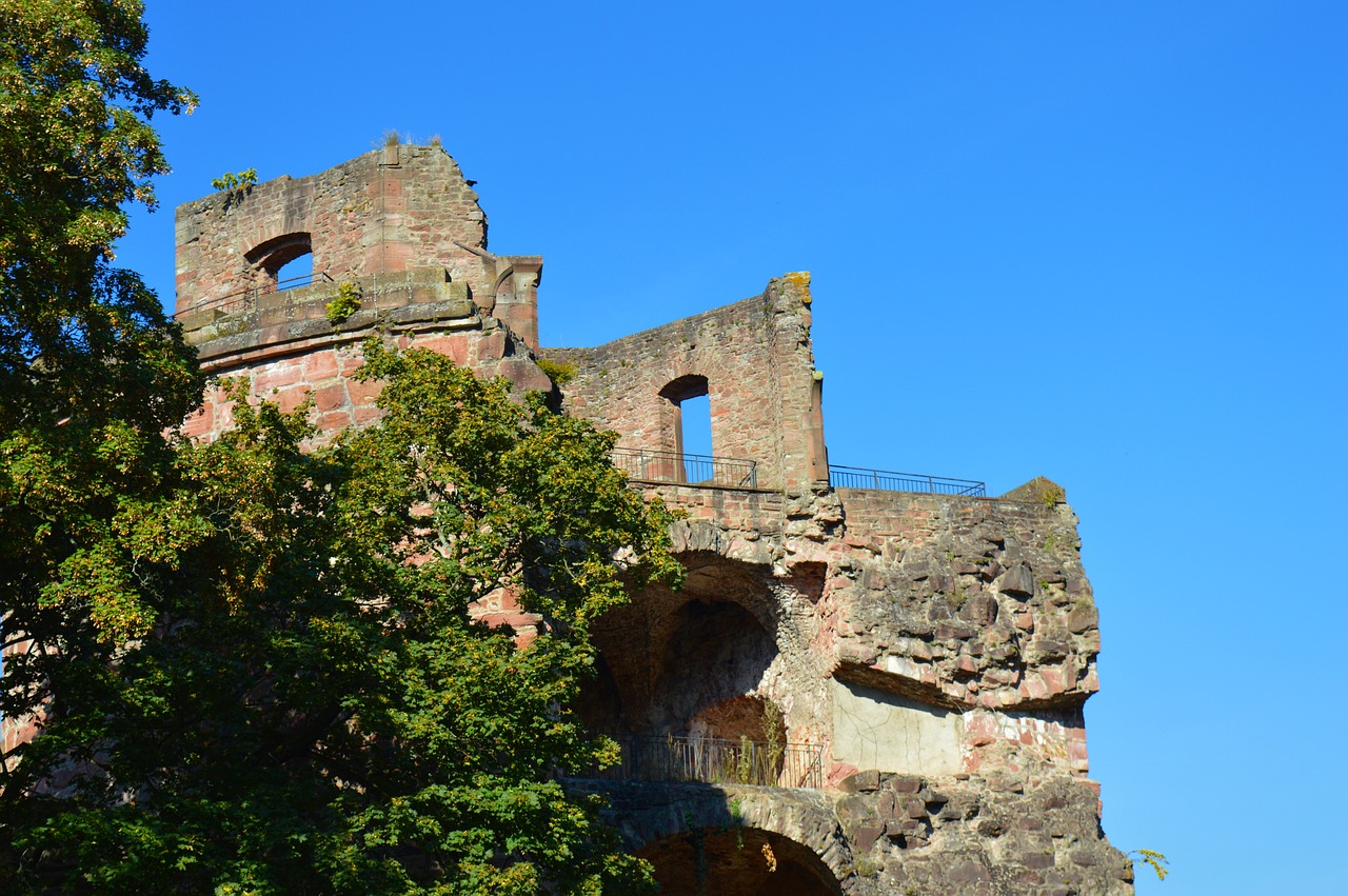 heidelberg castle heidelberger schloss free photo