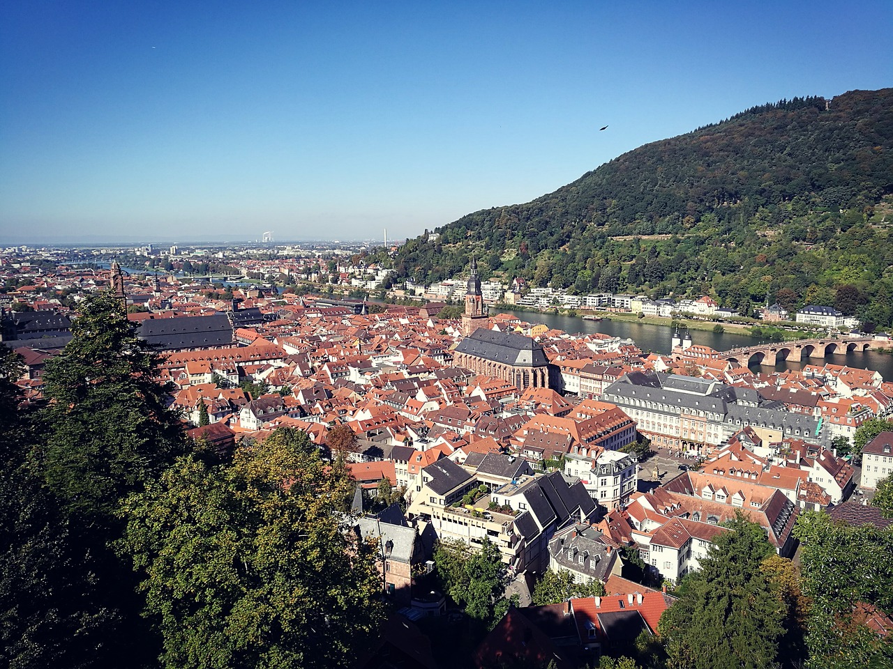 heidelberg neckar city free photo