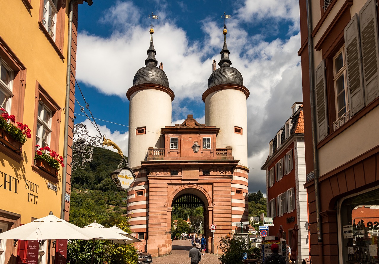 heidelberg bridge neckar free photo