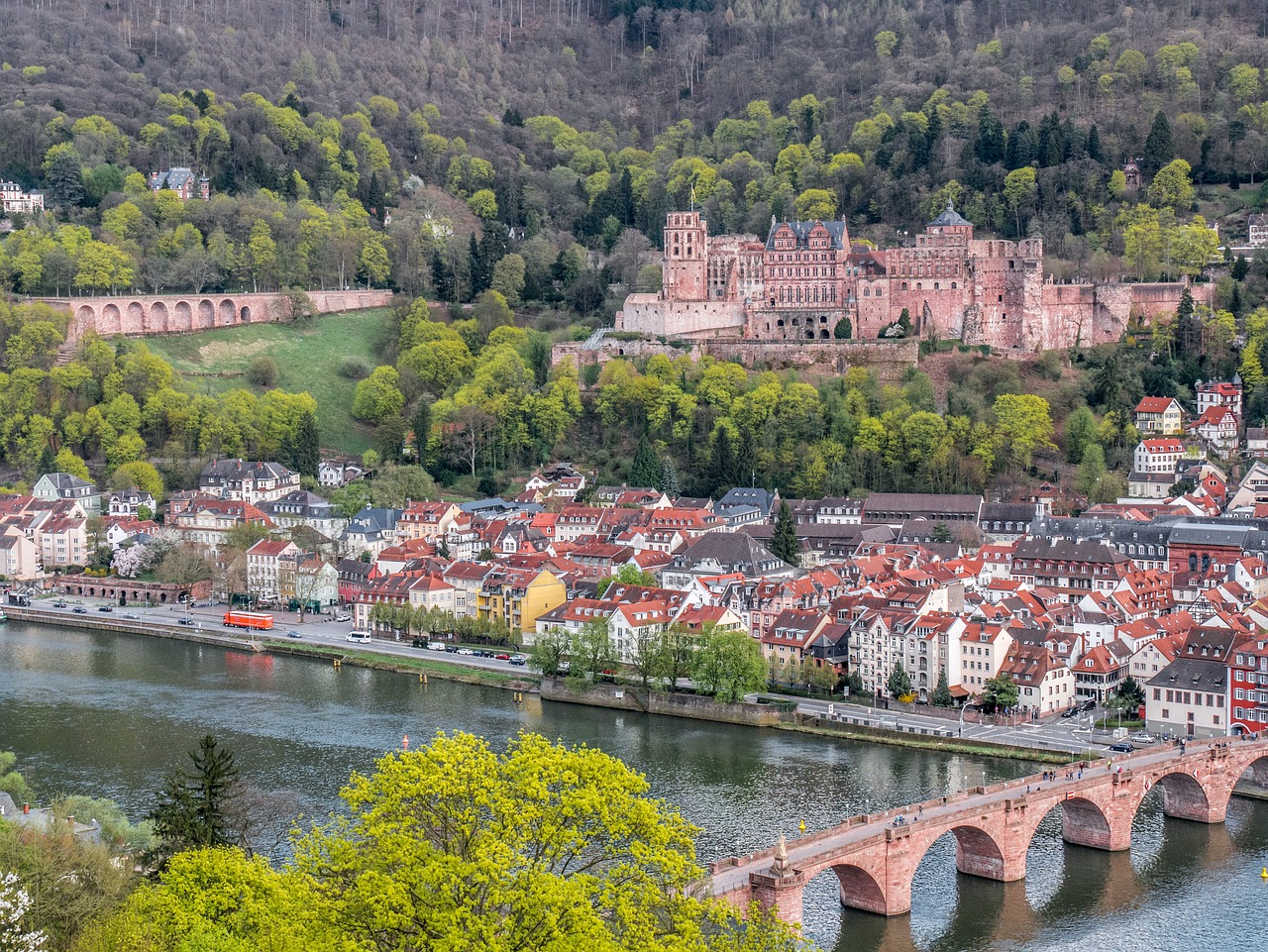 heidelberg  heidelberger schloss  historical city free photo