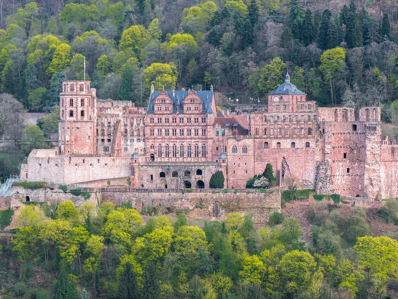 heidelberg  heidelberger schloss  fortress free photo