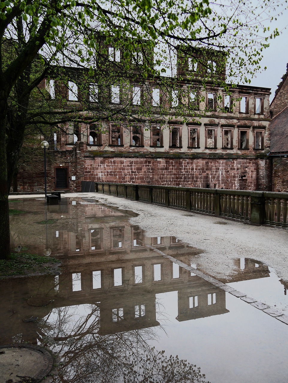 heidelberg  castle  neckar free photo