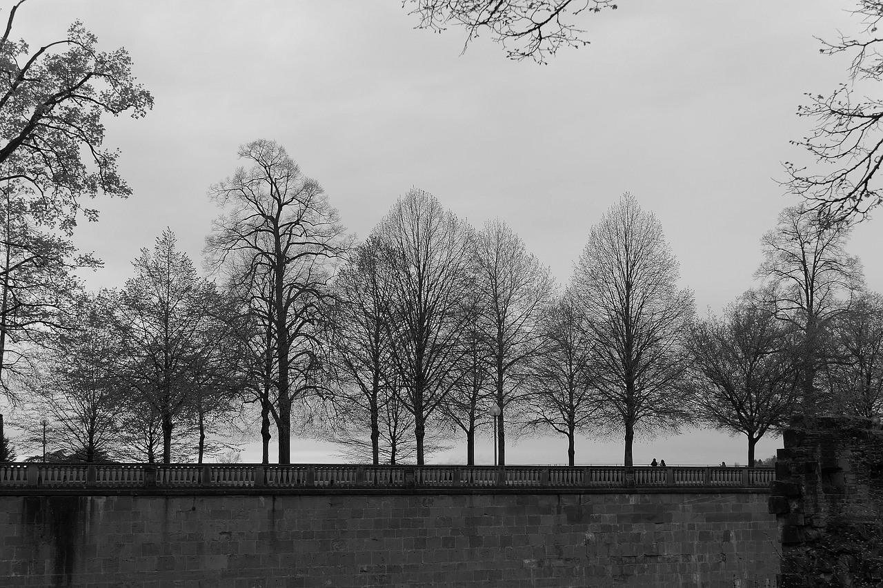 heidelberg  castle  wall free photo