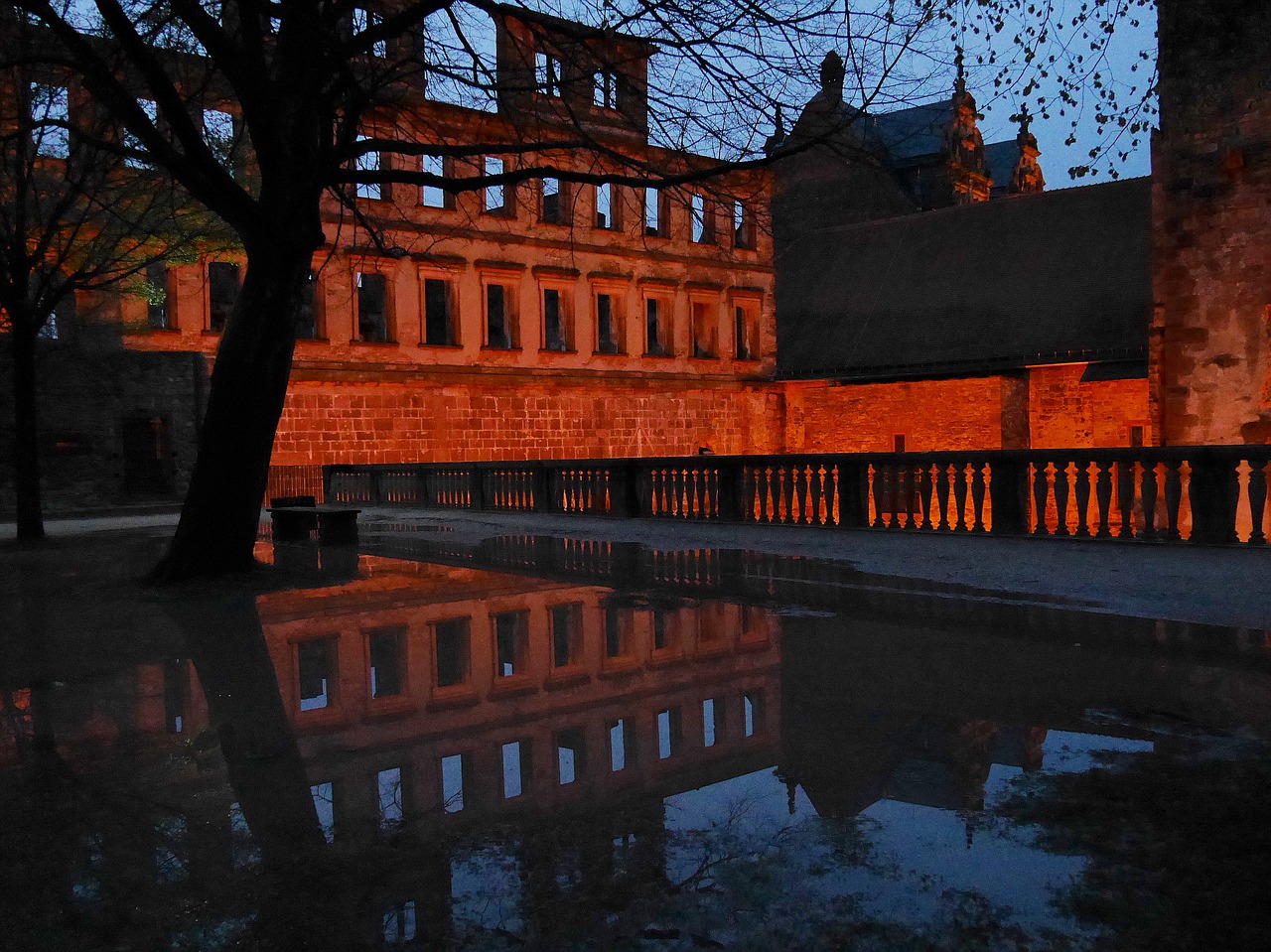 heidelberg  castle  blue hour free photo