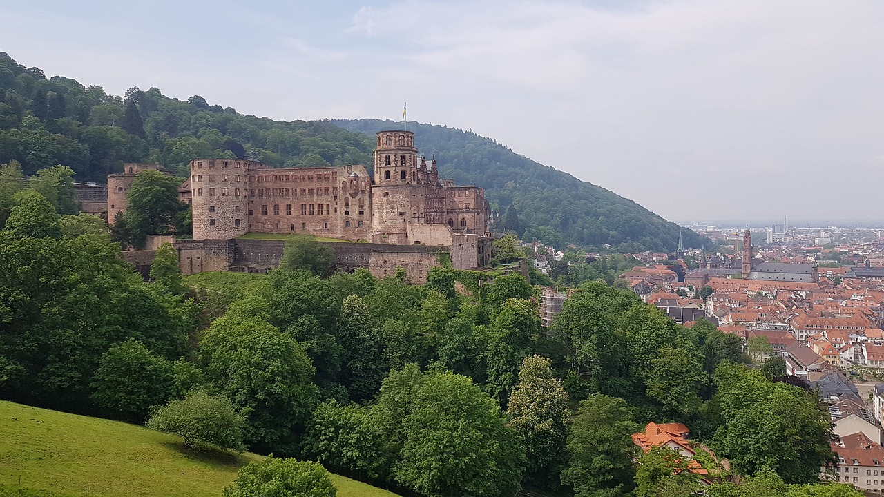 heidelberg  castle  fortress free photo