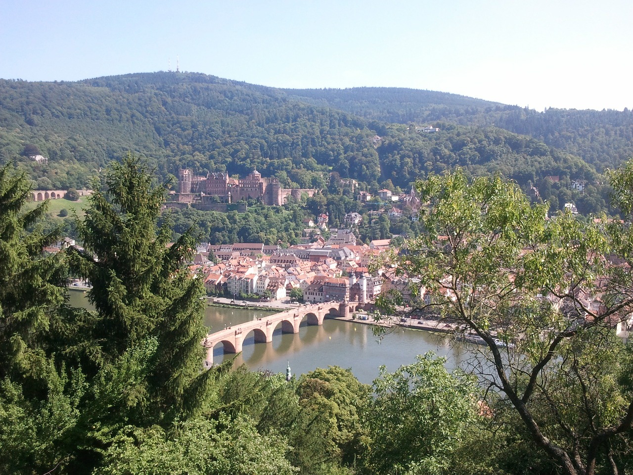 heidelberg city nature free photo