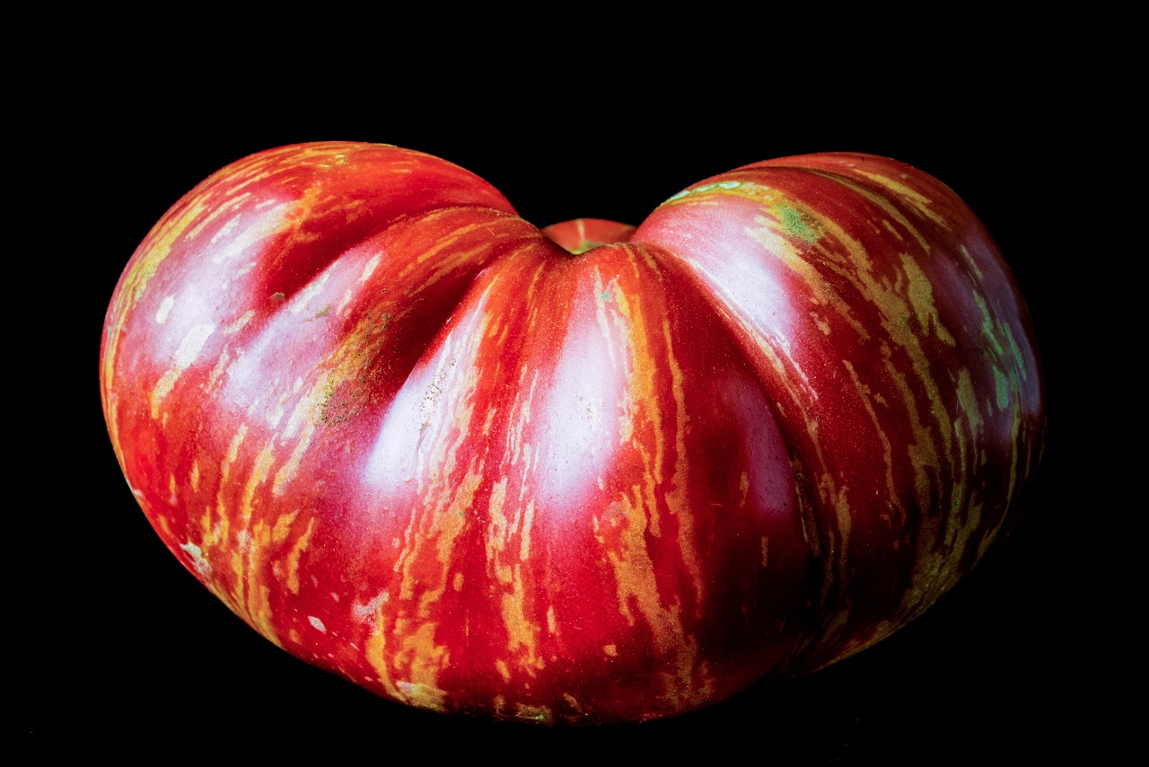 heirloom tomato  isolated  on black background free photo
