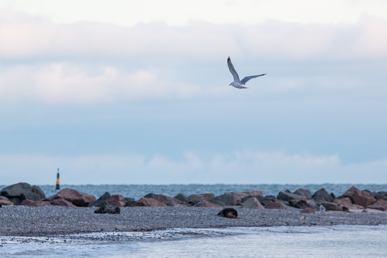 helgoland waters sea free photo