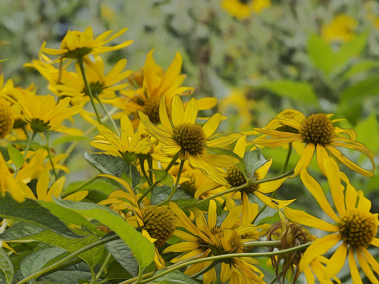 helianthe  sunflowers  bouquet free photo