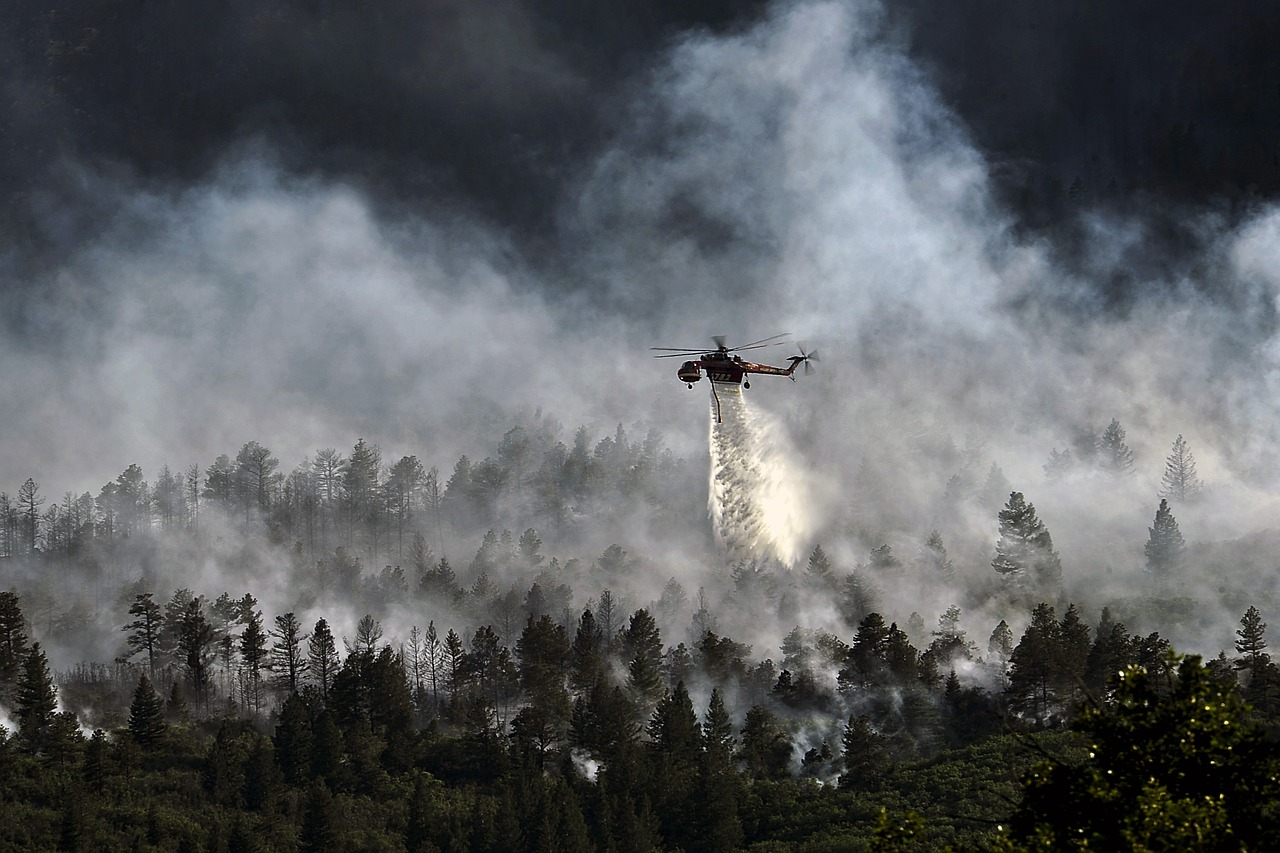 helicopter dropping water forest fire burning free photo