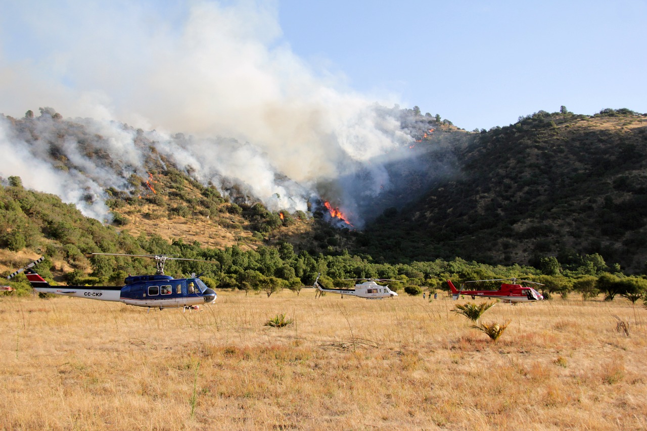 helicopters forest fire fire free photo
