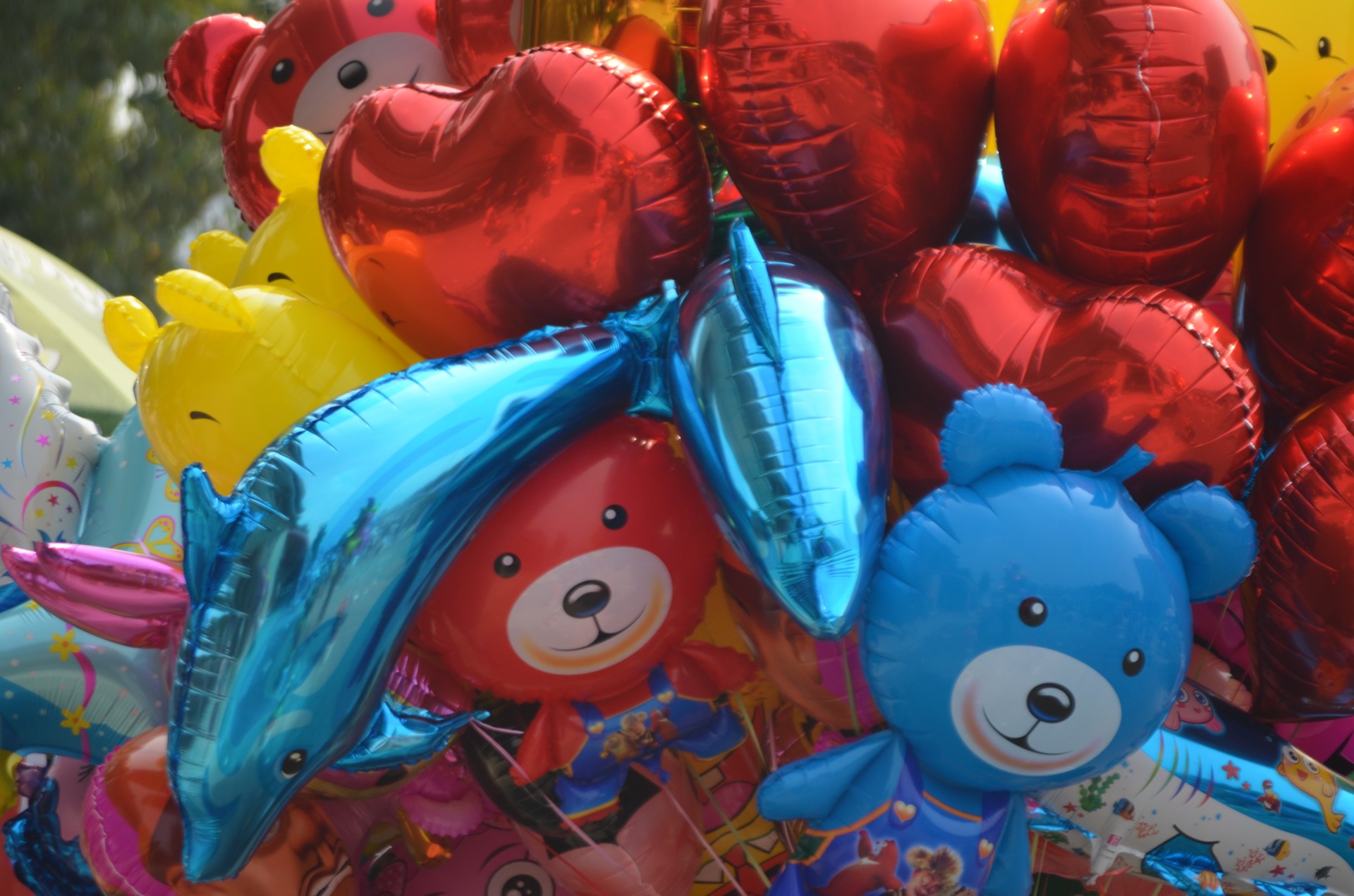 balloons helium business free photo
