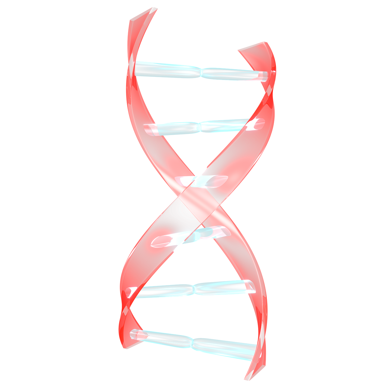 helix  dna  science free photo