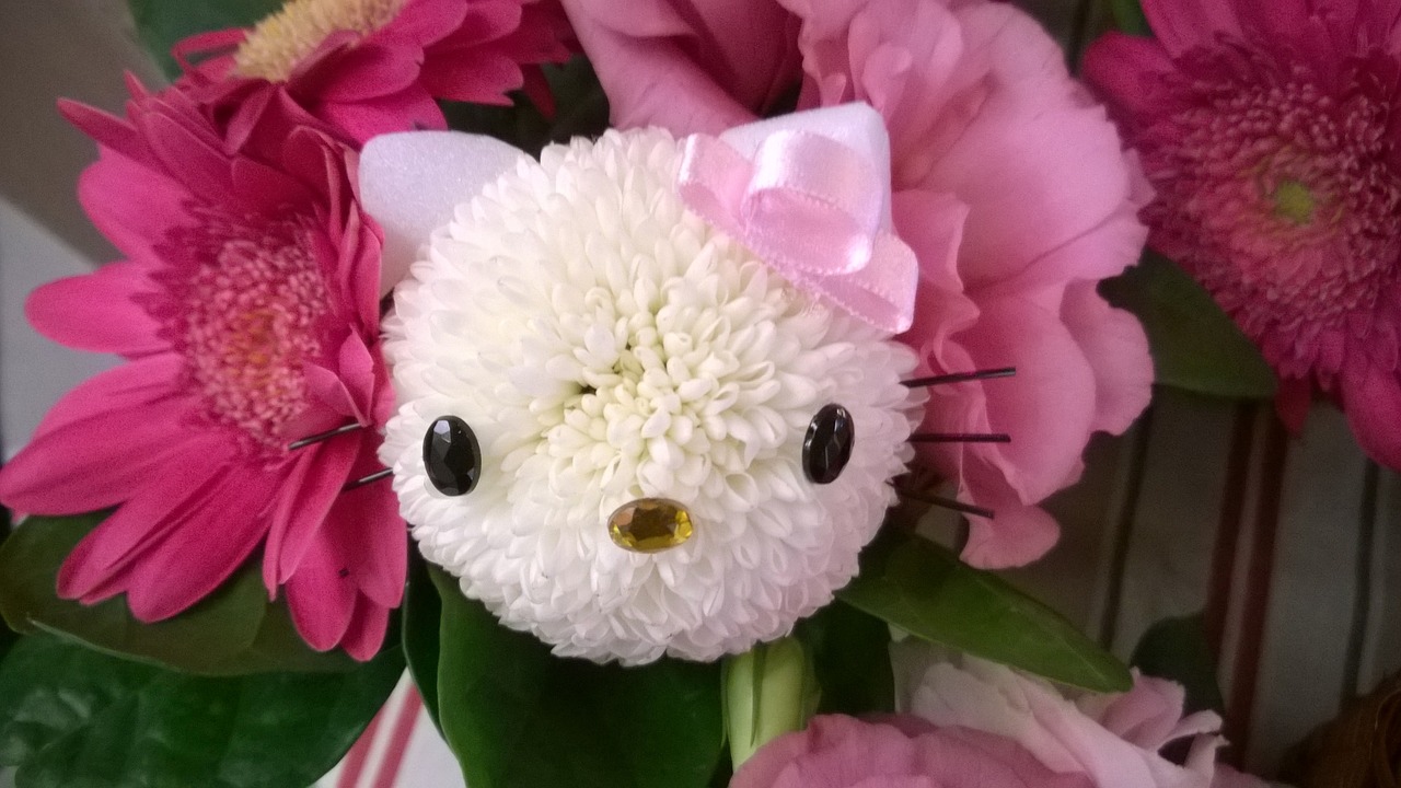 hello kitty no ohanabatake flower wedding bouquet free photo