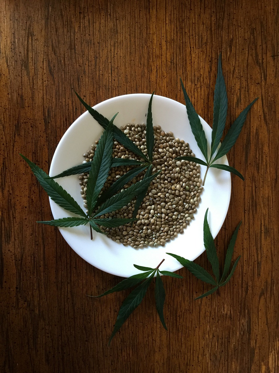 hemp seeds sativa food free photo