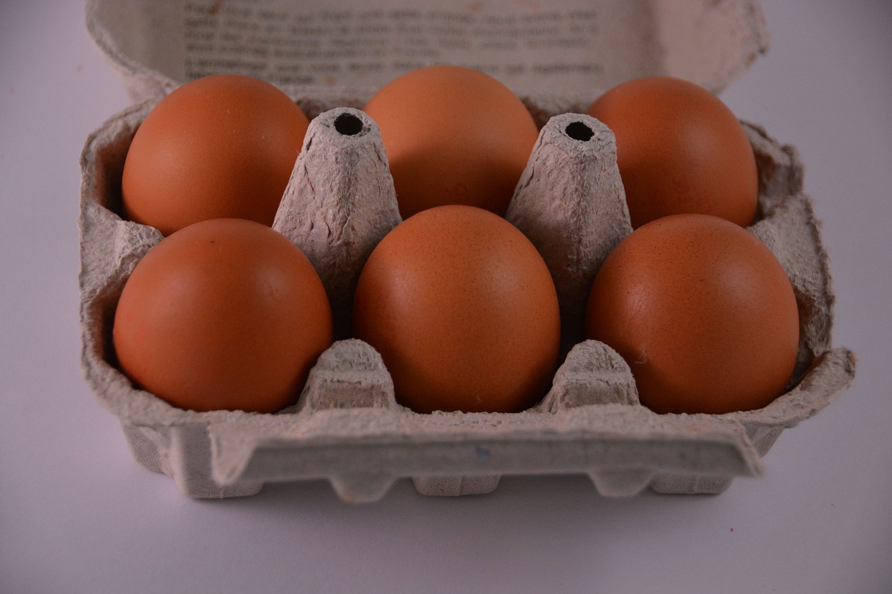 hen eggs kitchen free photo