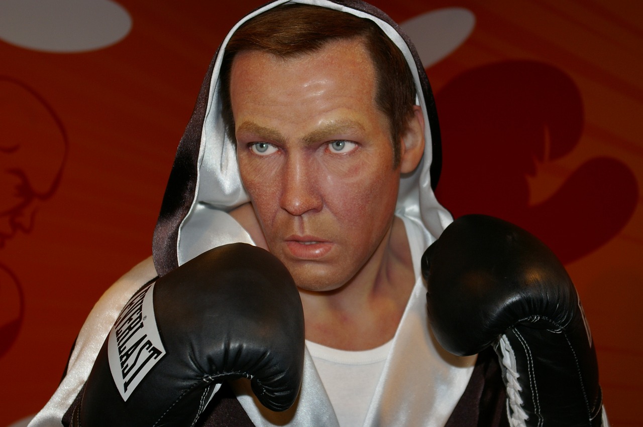 henry maske boxer wax figure free photo