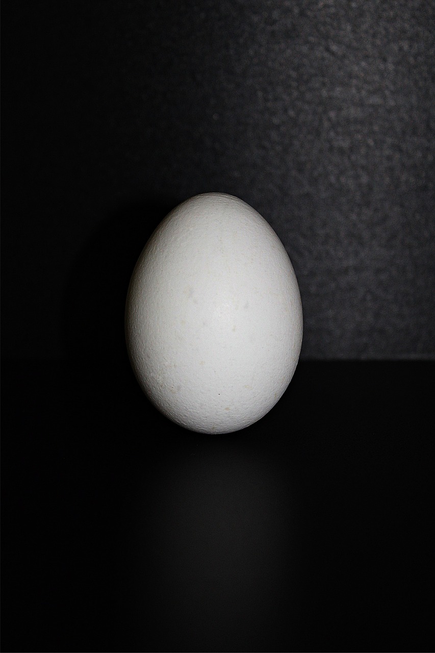hen's egg egg food free photo