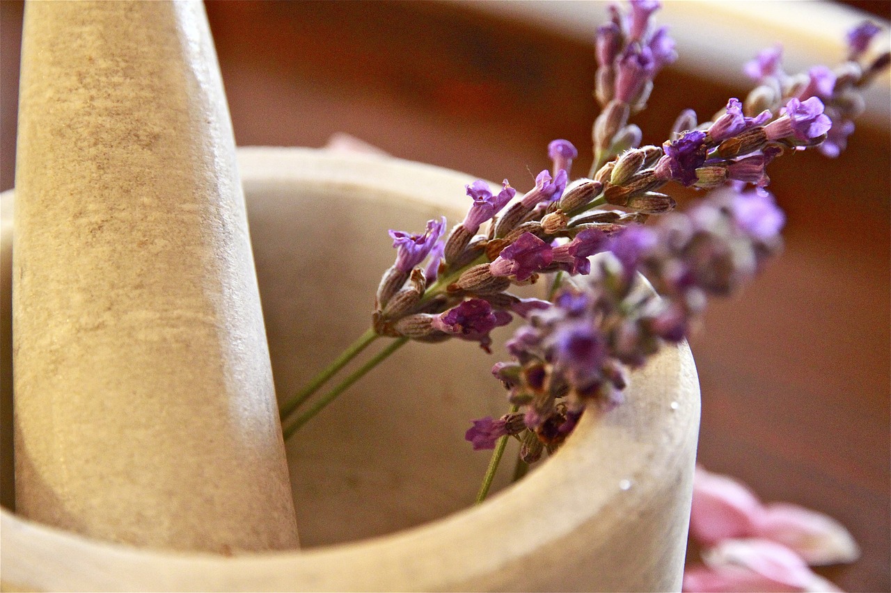 herbal tea pesto violet free photo