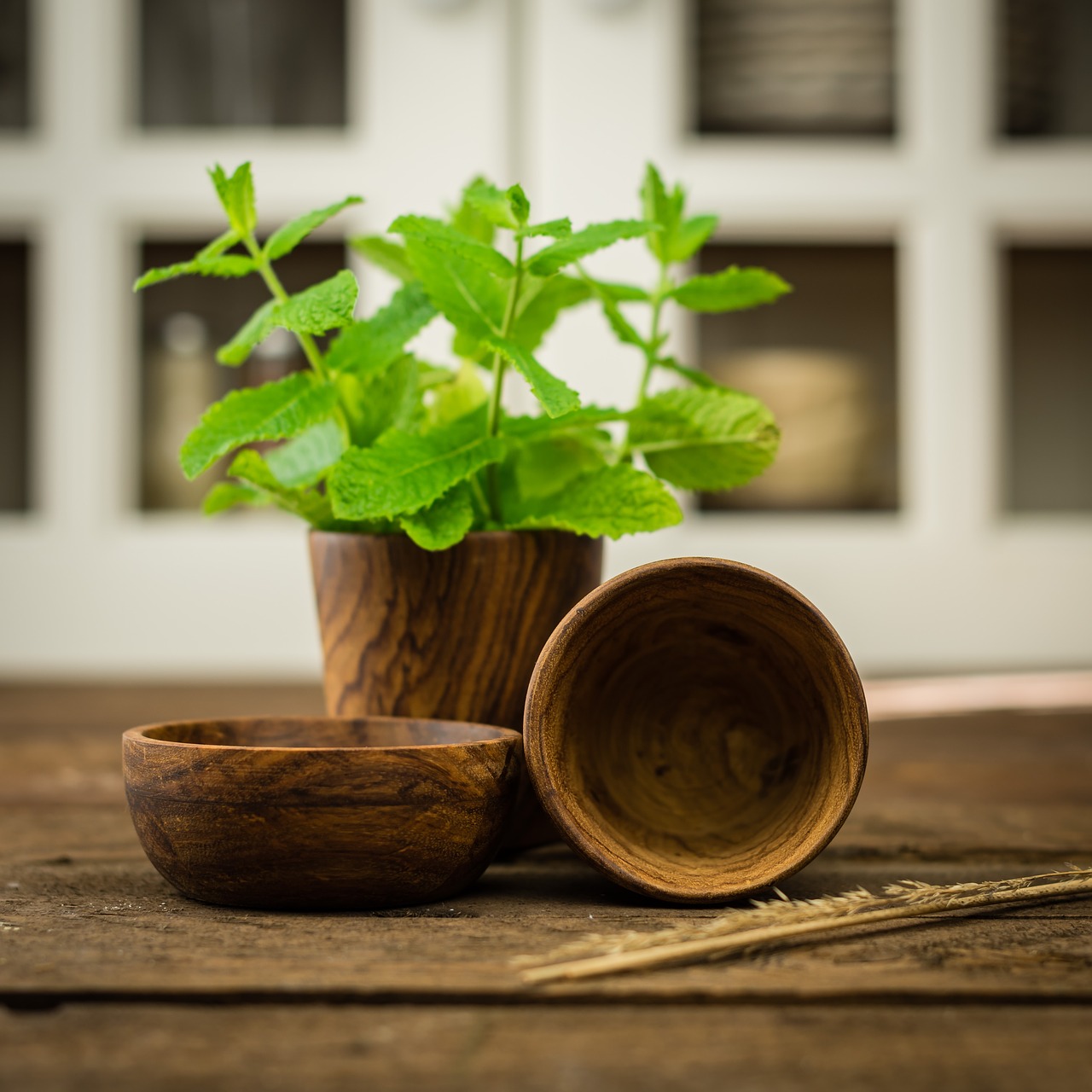 herbs wood dish free photo