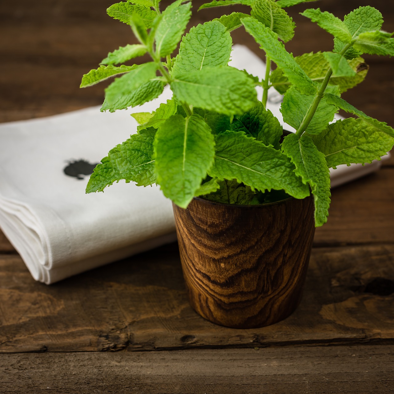 herbs wood dish free photo