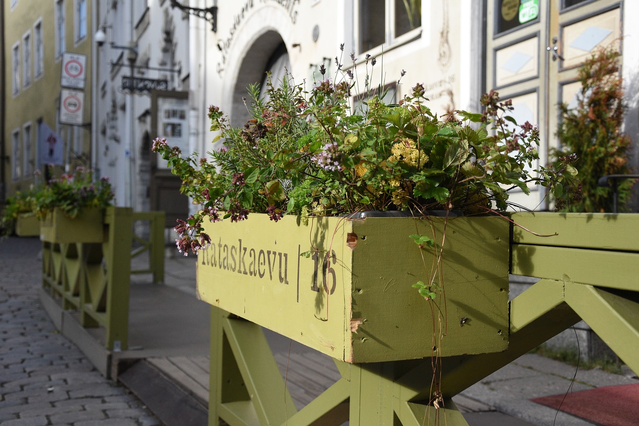 herbs box cobbles free photo