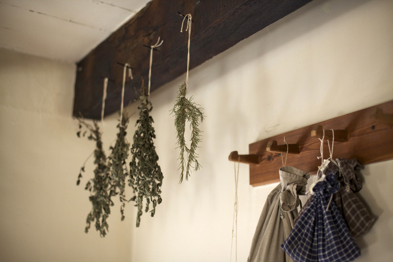 herbs drying hanging free photo