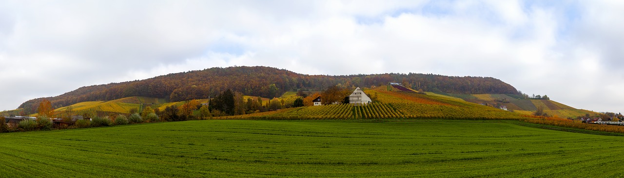 herbstlandschaft vineyards nature free photo