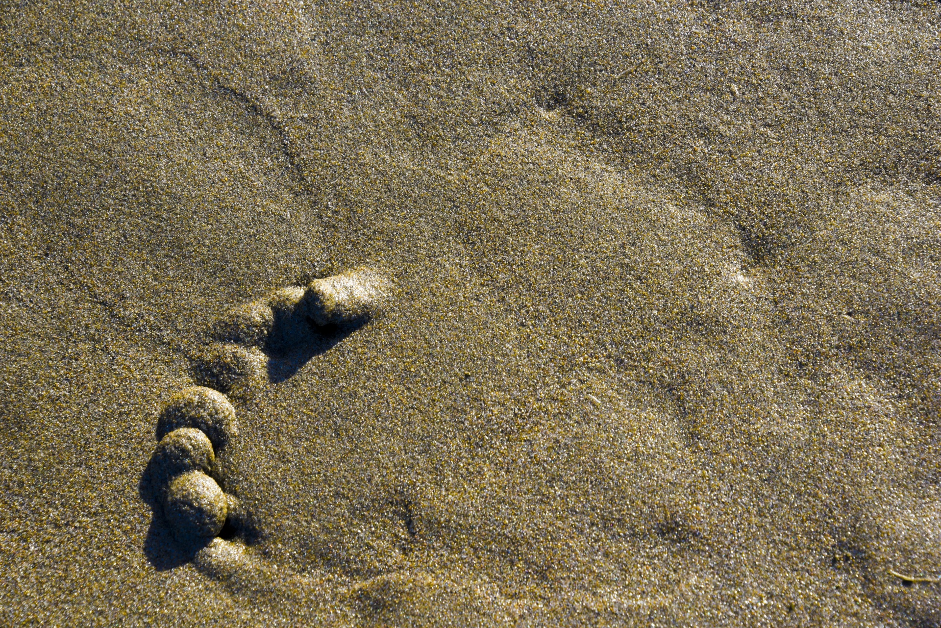 background sand tracks free photo