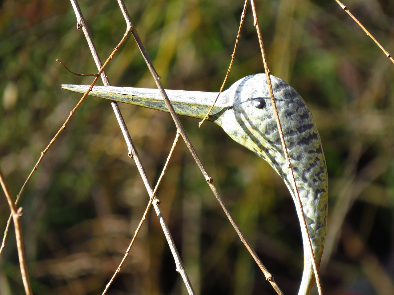 heron metal metal head free photo