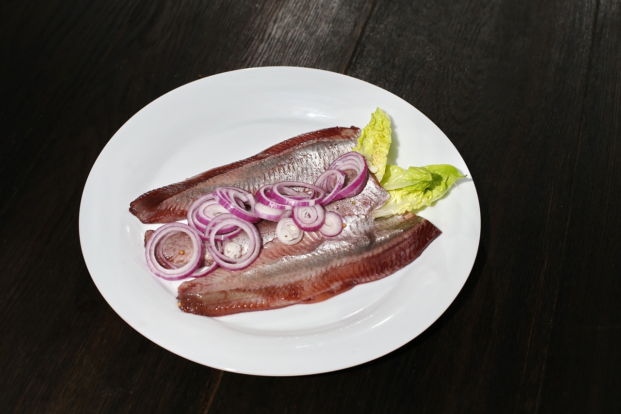 herring fish pickled herring free photo