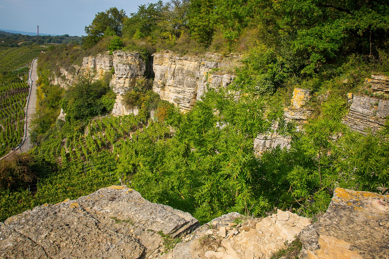 hessigheim rock gardens rocks of the neckar valley free photo