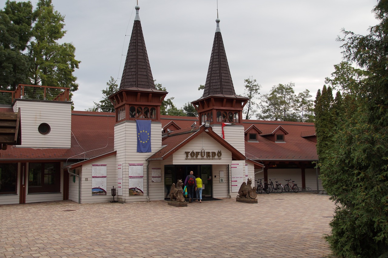 hevíz the thermal lake hungary free photo