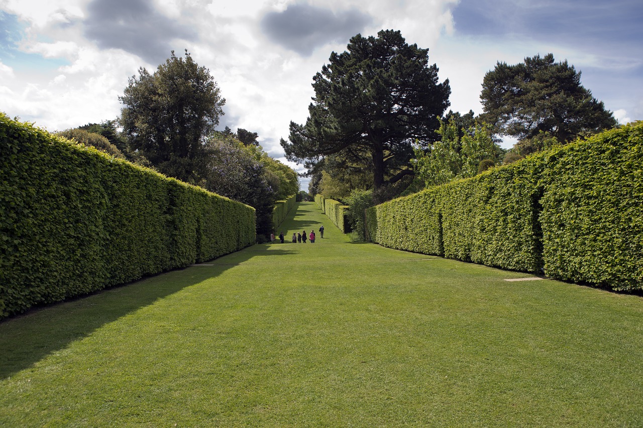 hidcote manor garden long avenue high enclosing hedges free photo