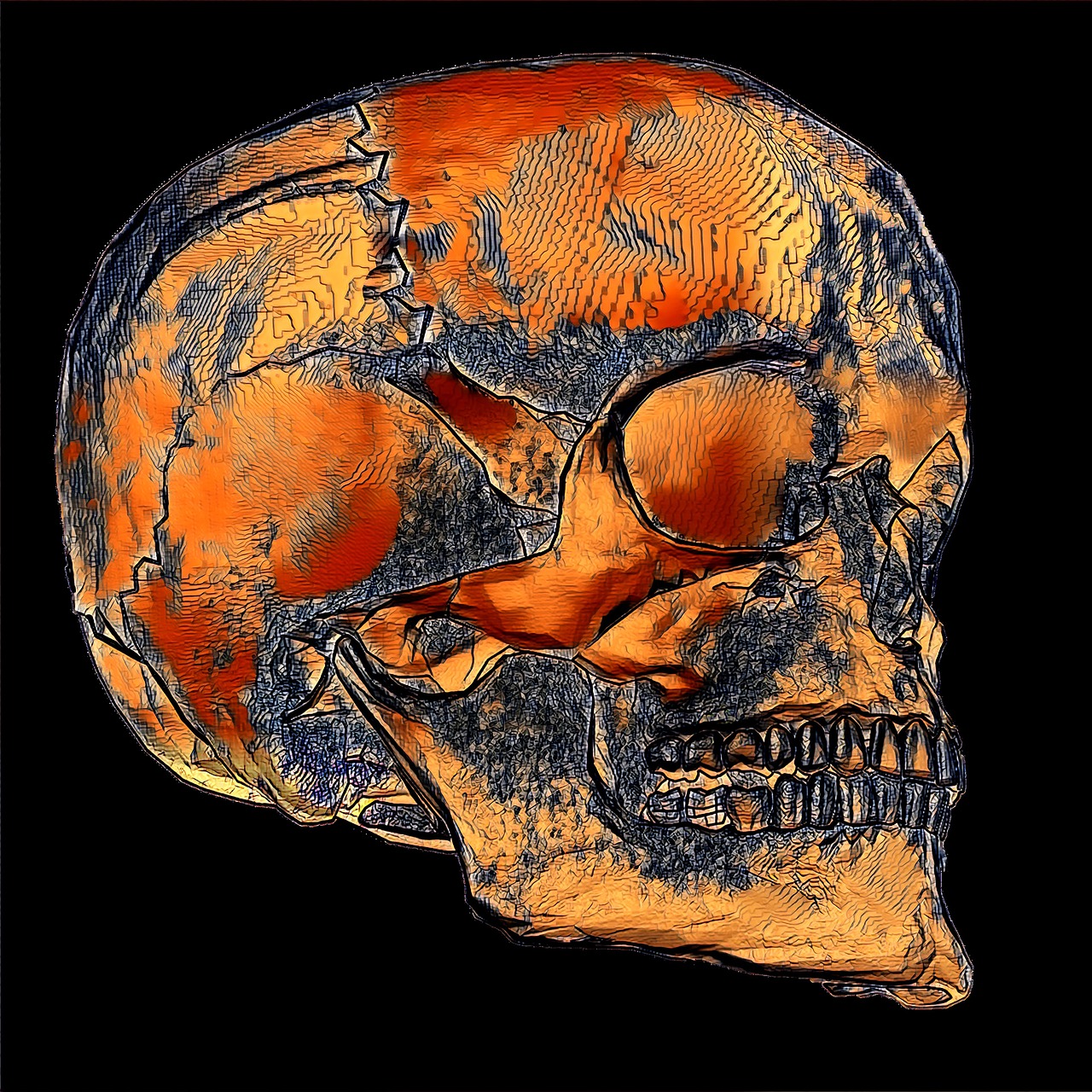 hidden skull orange free photo