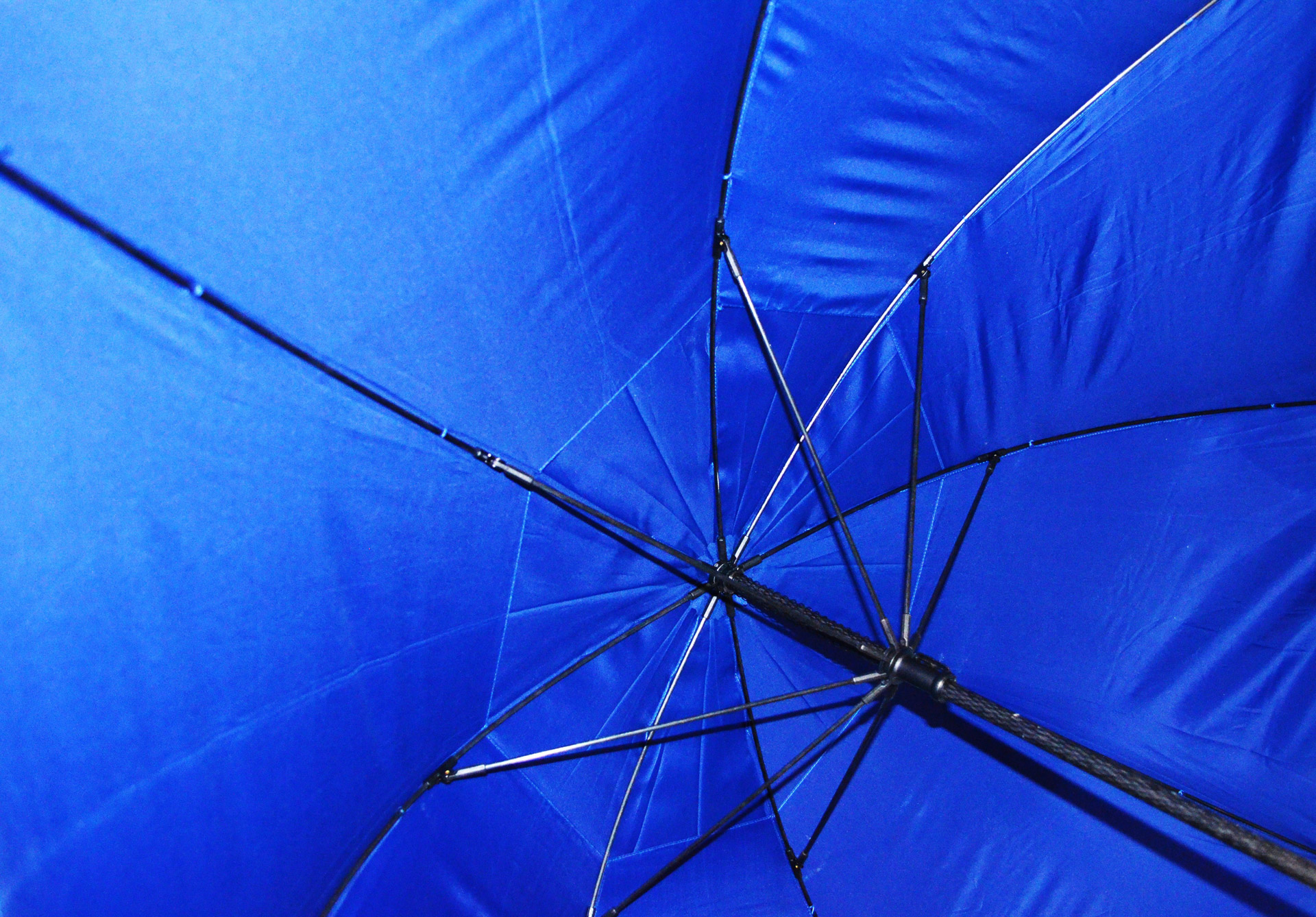 umbrella season rain free photo