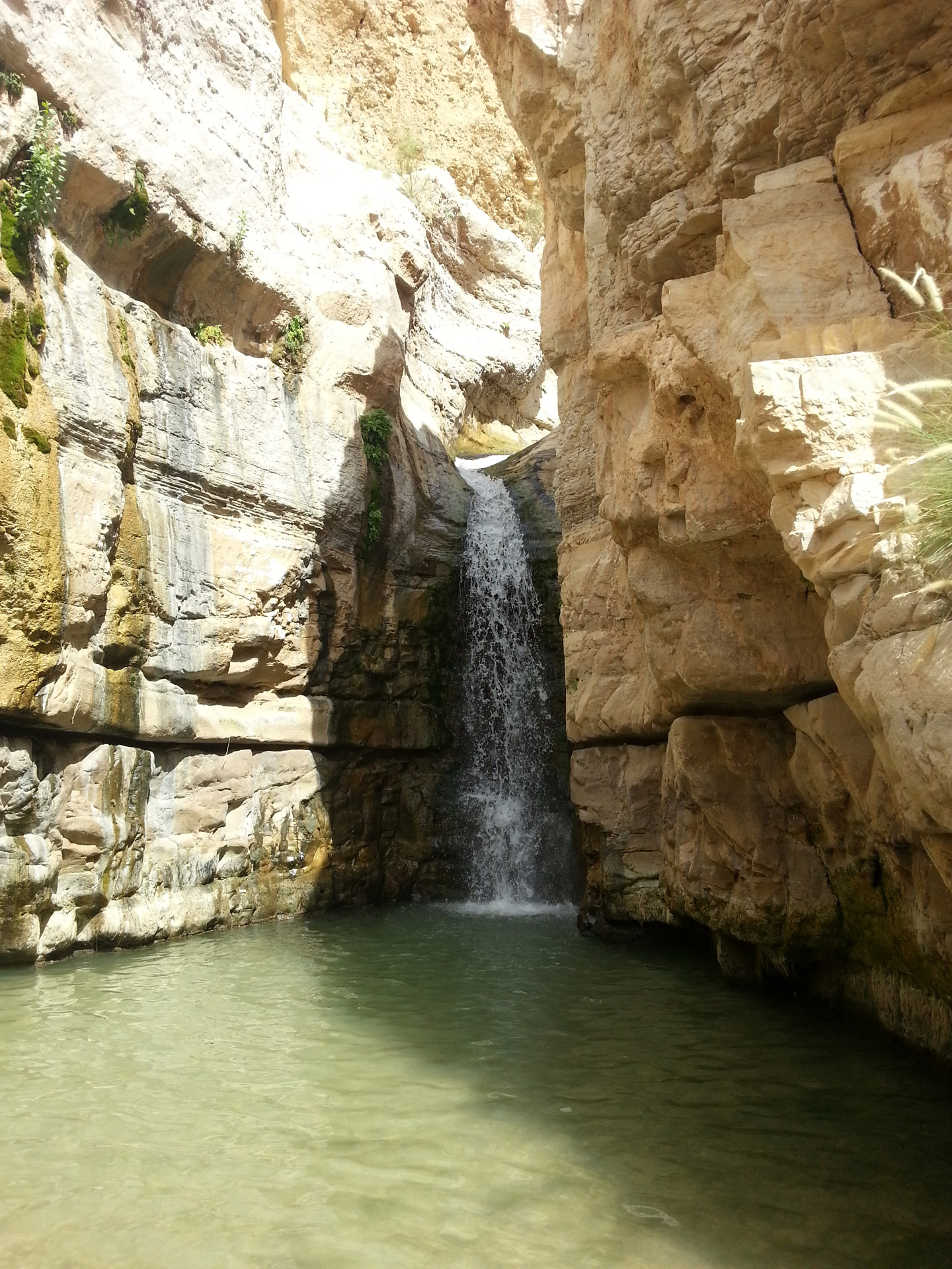waterfall en gedi israel free photo