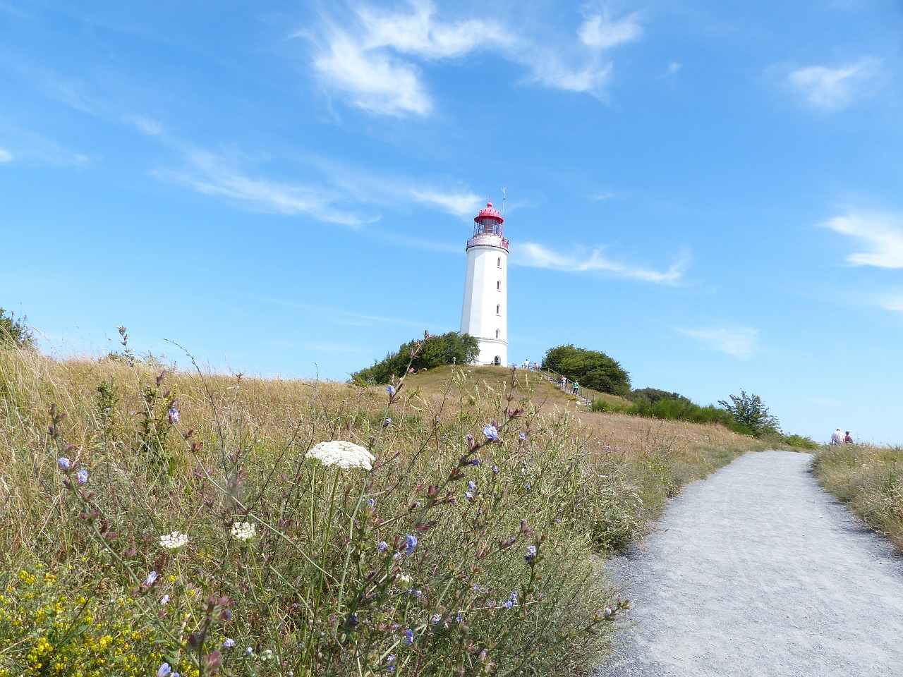 hiddensee lighthouse summer free photo