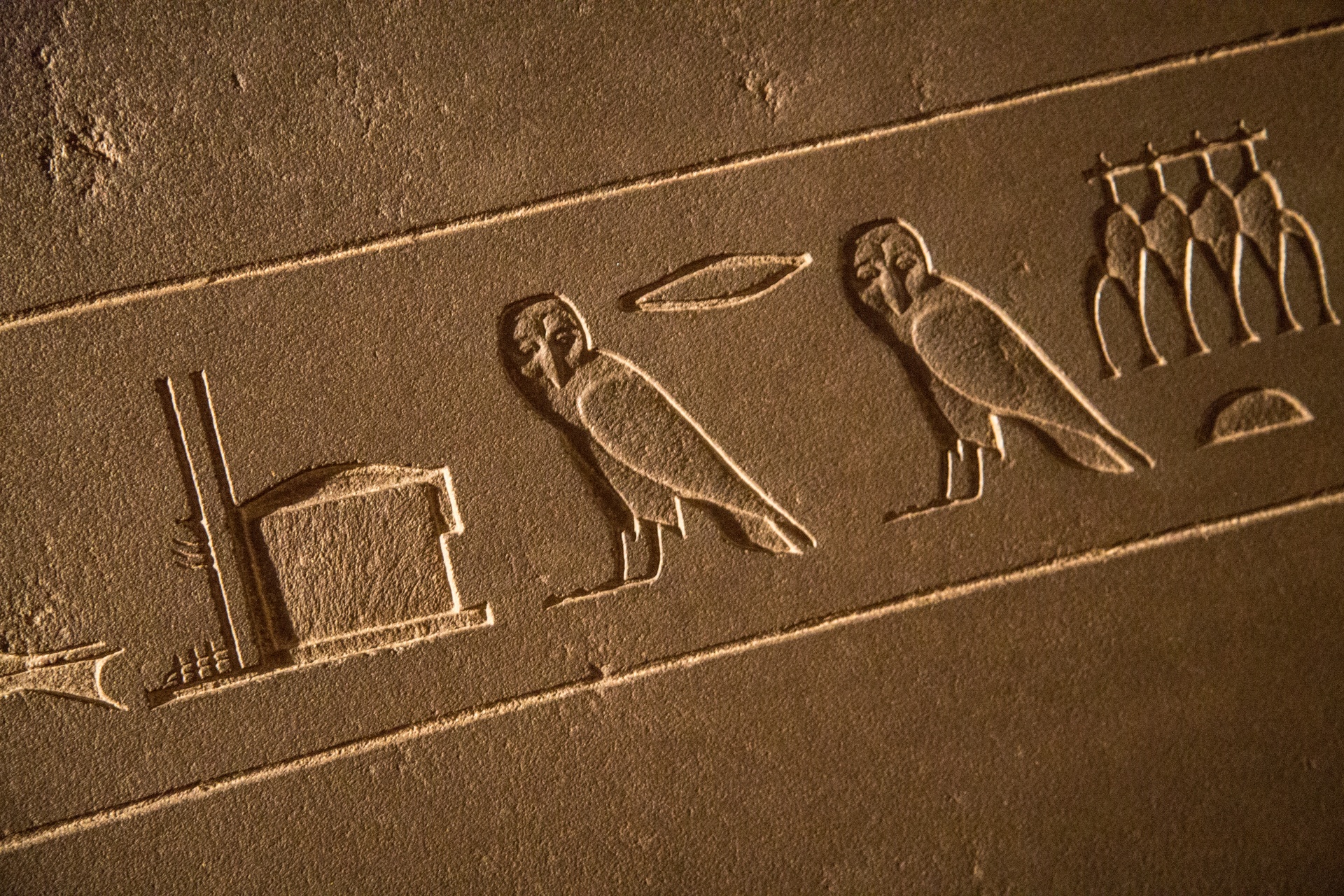 egypt hieroglyphic hieroglyph free photo