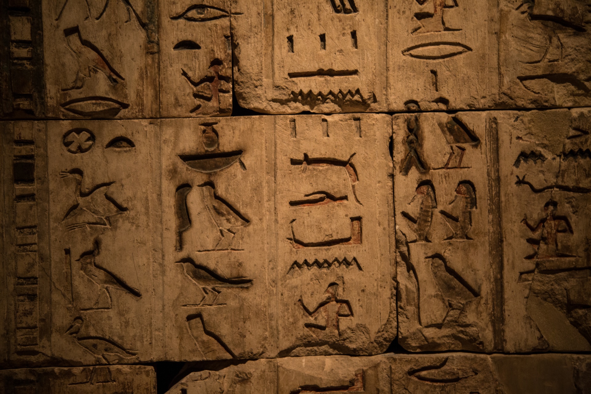 Разгадать иероглифы. Иероглифическая письменность древнего Египта. Идеограммы древнего Египта. Древнейшие иероглифические надписи Египта. Загадочные письмена древнего Египта.