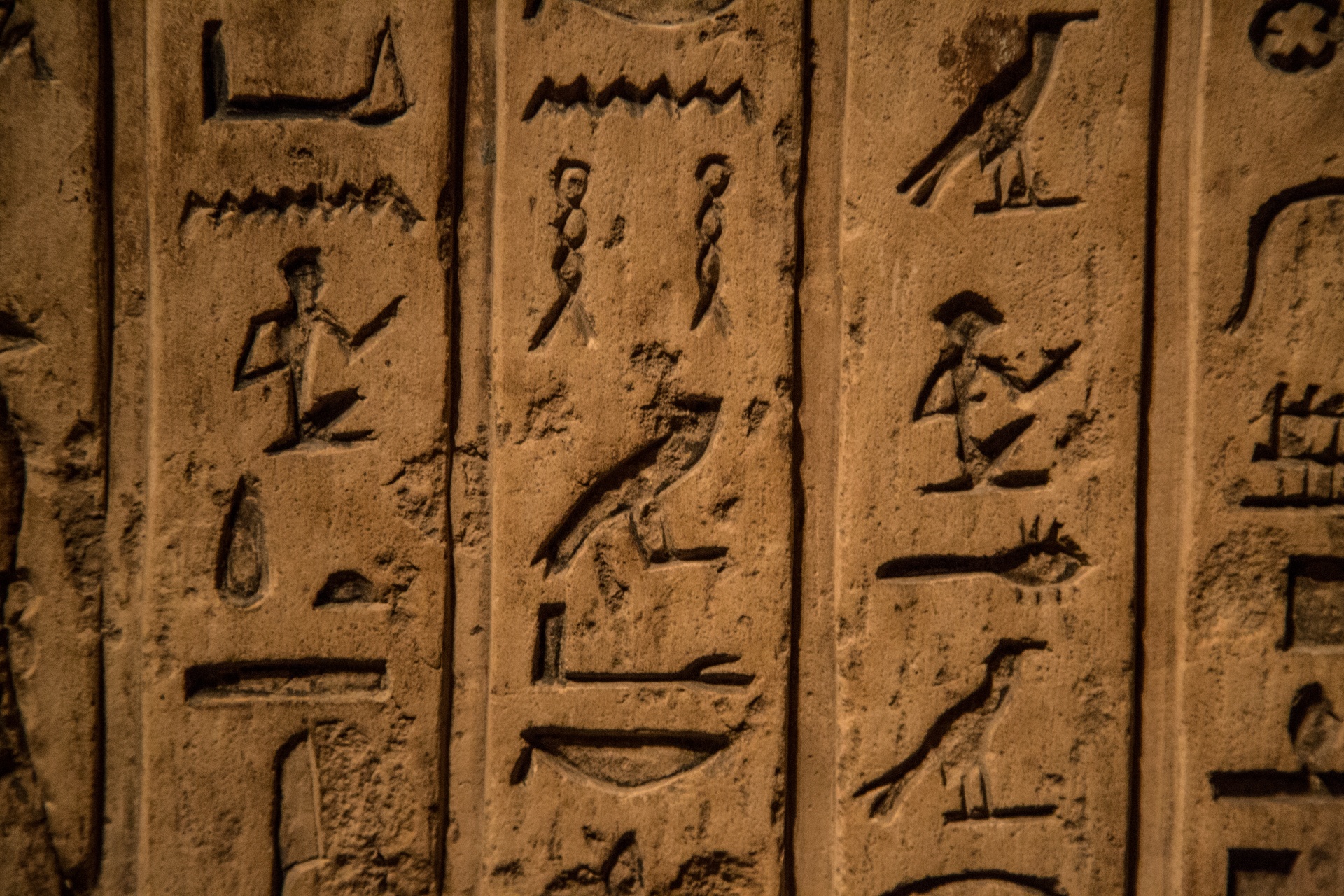 egypt hieroglyphic hieroglyph free photo