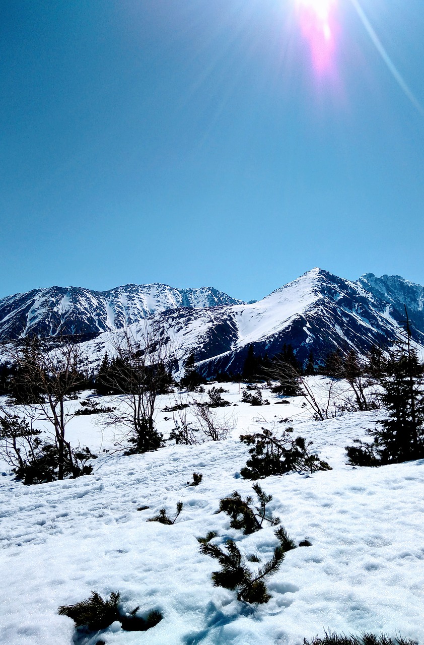 high  tatras  panorama free photo