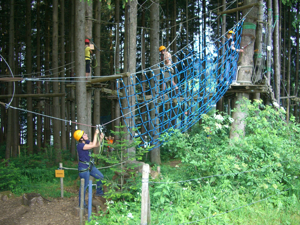 high ropes course climbing forest gruentensee free photo