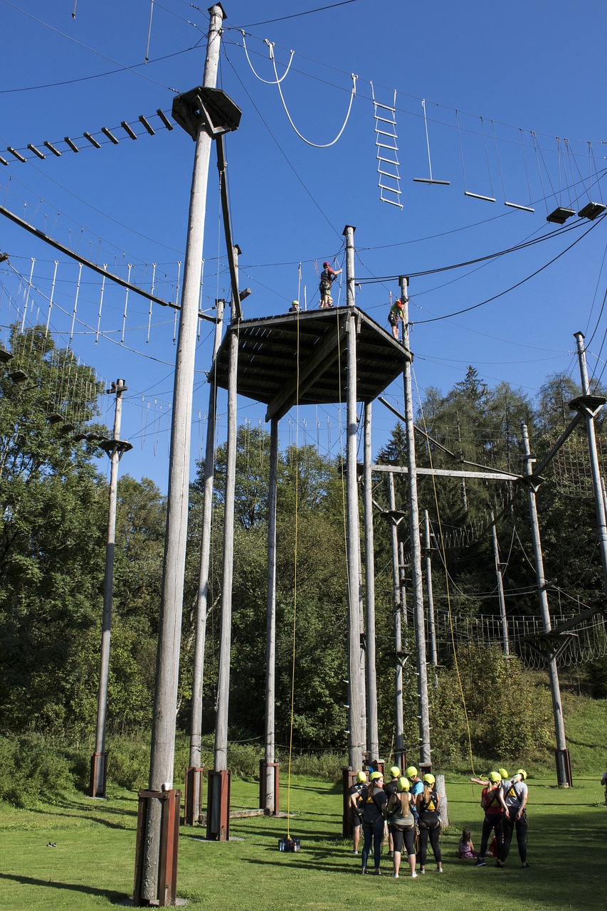 high ropes course  actors  meadow free photo