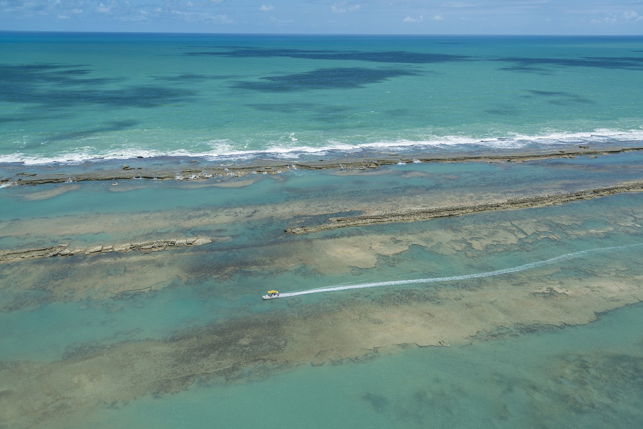 high seas beach alagoas free photo