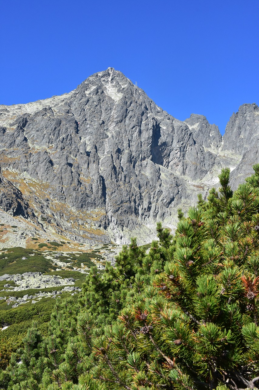 high tatras  lomnický štít  slovakia free photo