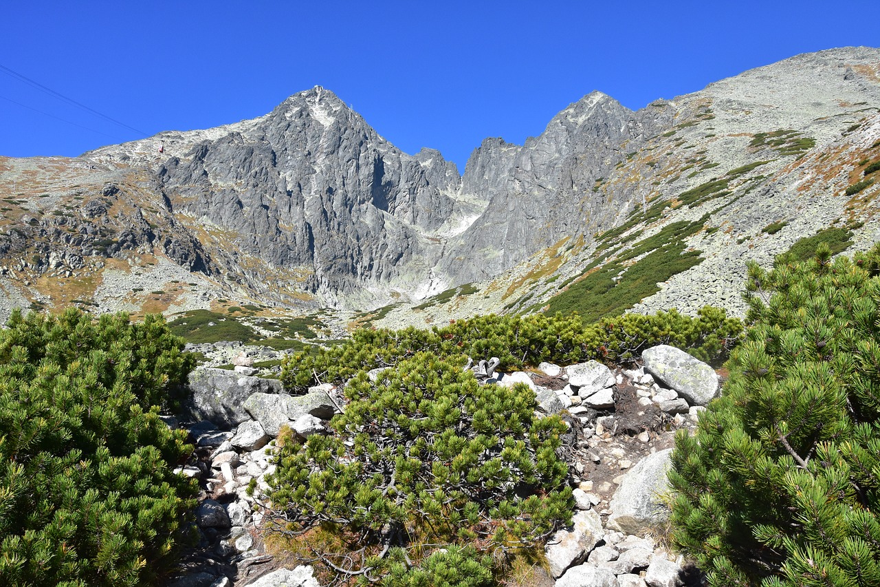 high tatras  lomnický štít  slovakia free photo