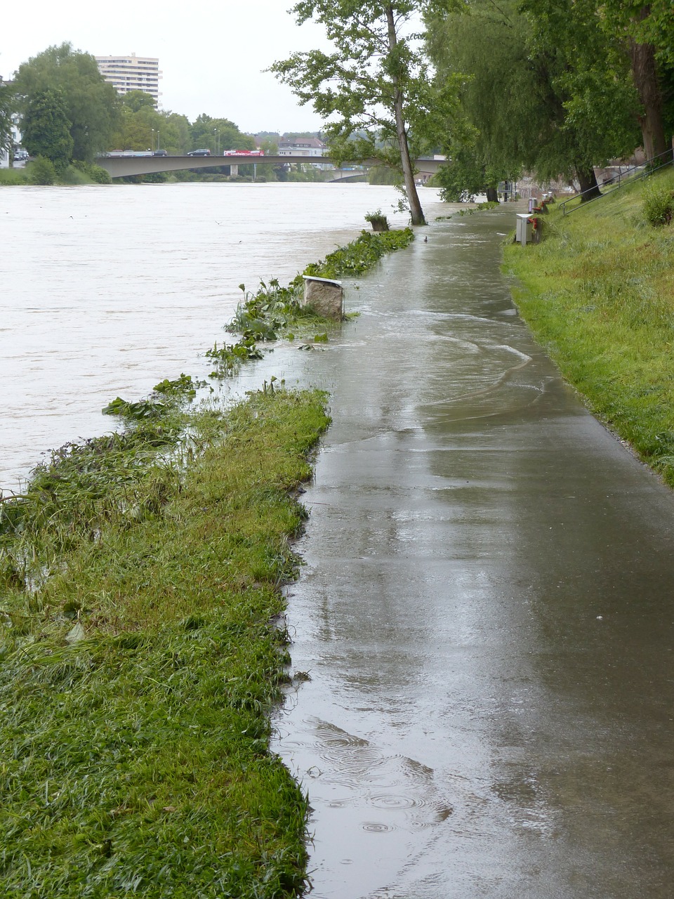 high water danube ulm free photo