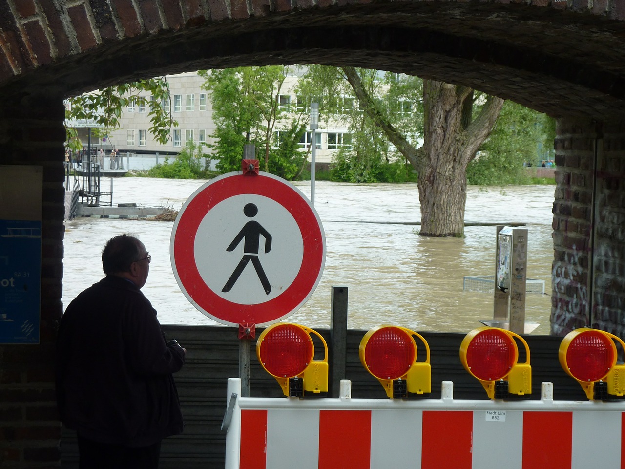 high water danube nature free photo